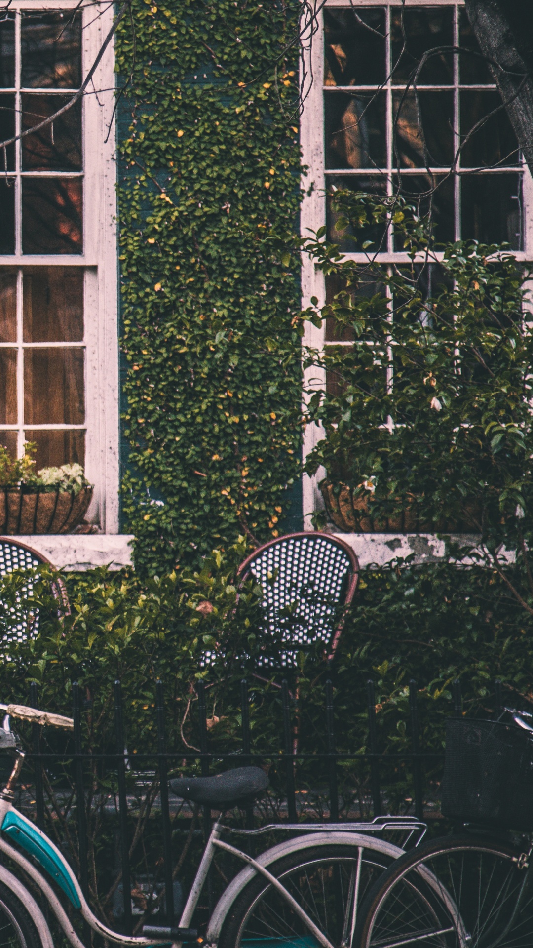 Обои велосипед, забор, окна в разрешении 1080x1920