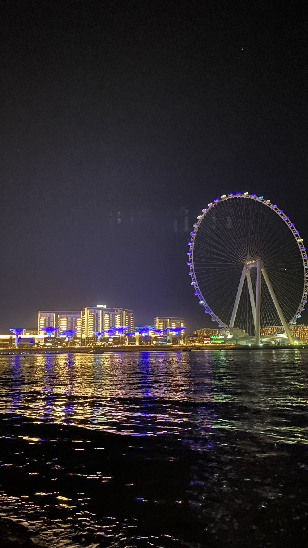 Обои Дубай, отражение, водоем, ночь, природа в разрешении 1080x1920