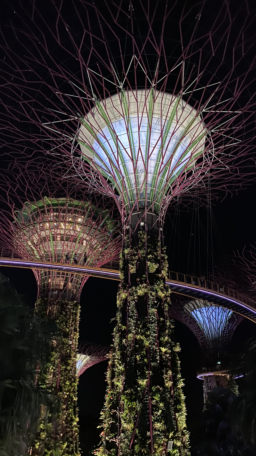 Обои Сингапур, Марина Сити Парк, достопримечательность, ночь, зеленый в разрешении 1080x1920