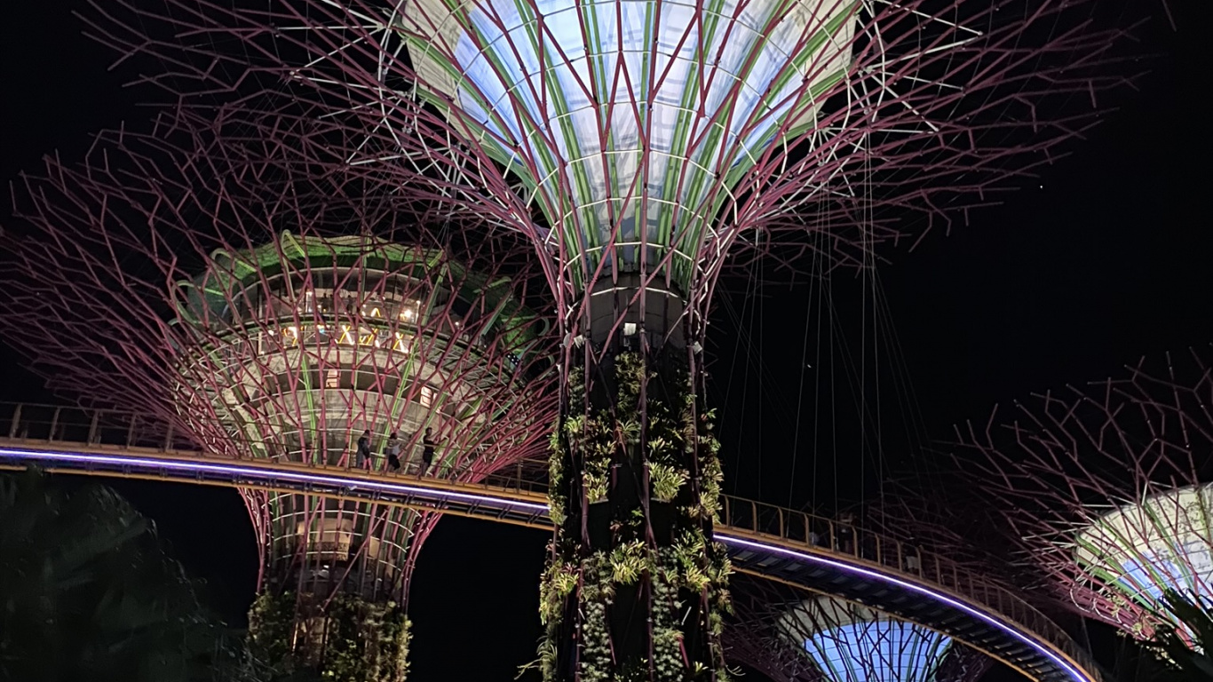 Обои Сингапур, Марина Сити Парк, достопримечательность, ночь, зеленый в разрешении 1366x768