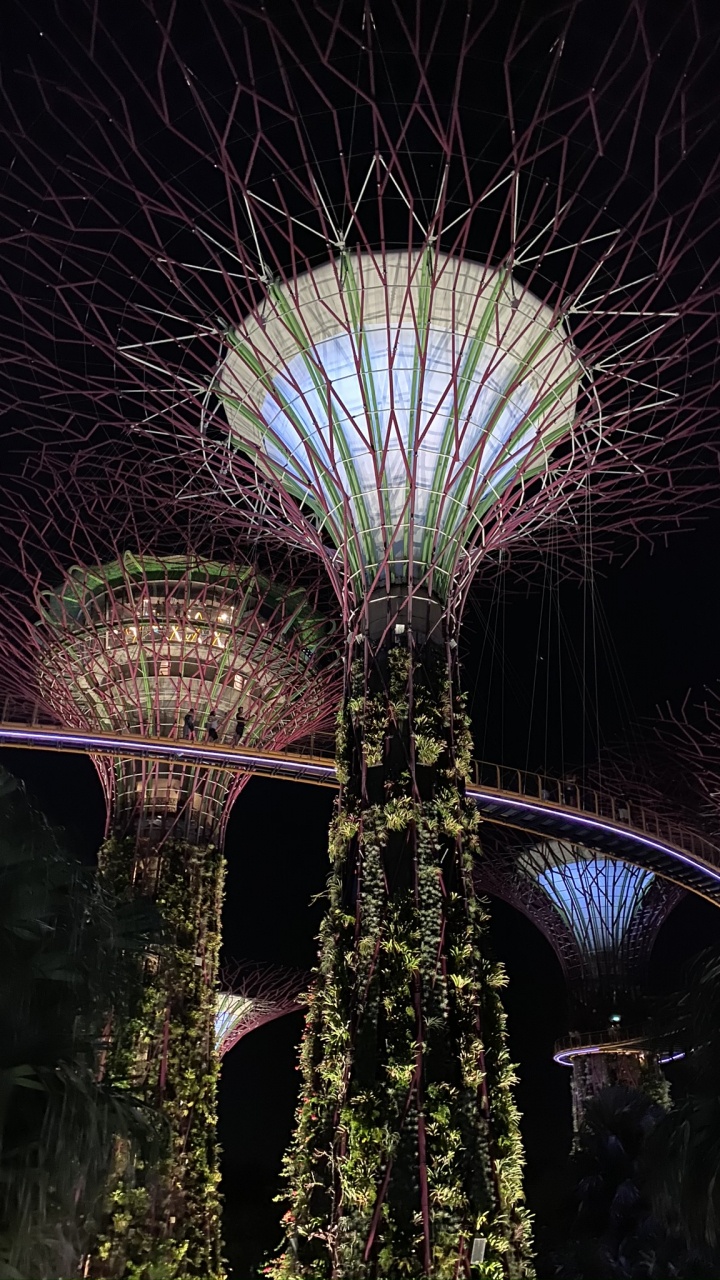 Обои Сингапур, Марина Сити Парк, достопримечательность, ночь, зеленый в разрешении 720x1280