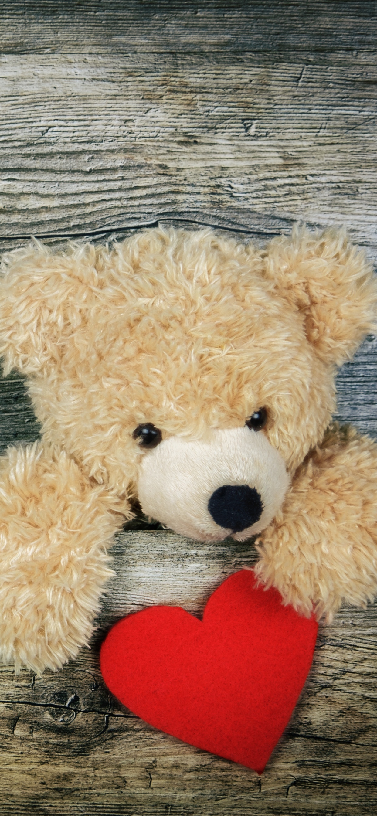 Обои плюшевый мишка, мягкая игрушка, сердце, игрушка, любовь в разрешении 1242x2688