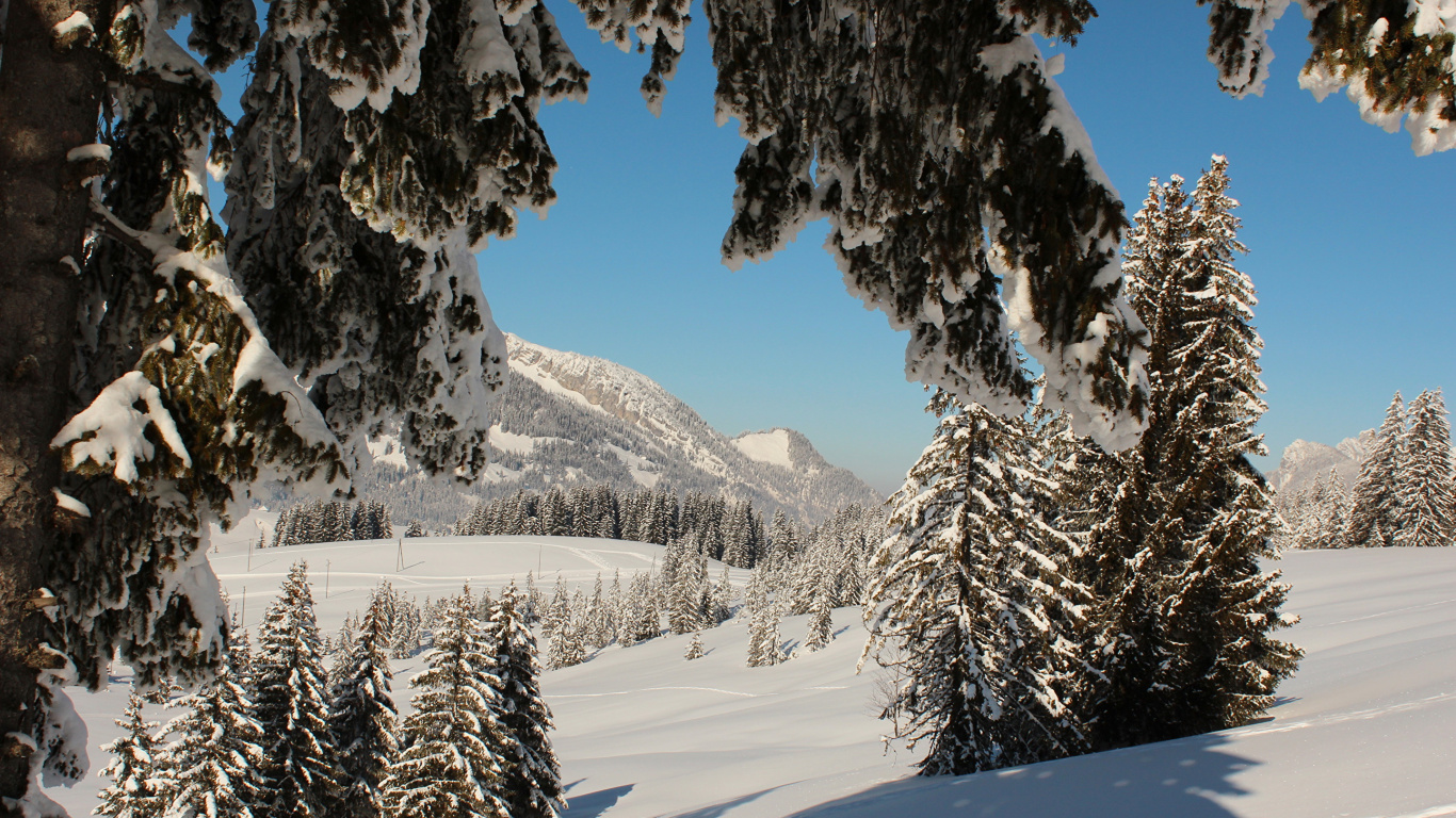 Обои зима, снег, природа, дерево, гора в разрешении 1366x768