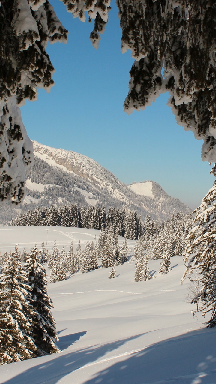 Обои зима, снег, природа, дерево, гора в разрешении 720x1280