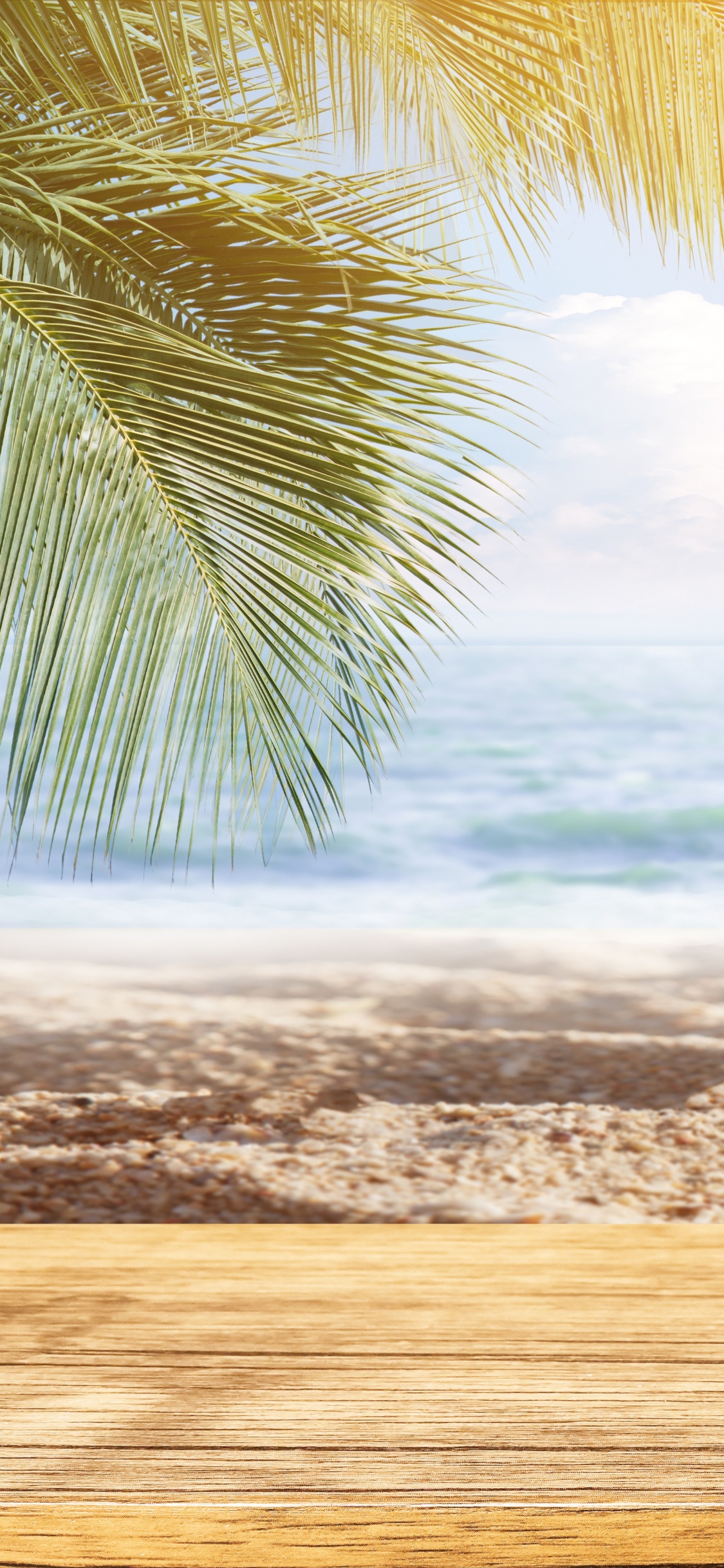 Обои пляж, море, дерево, Пальма, тропическая зона в разрешении 1125x2436