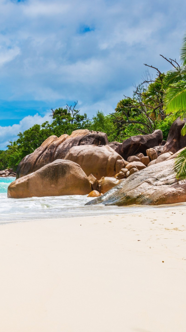 Обои пляж, водоем, тропическая зона, берег, море в разрешении 750x1334