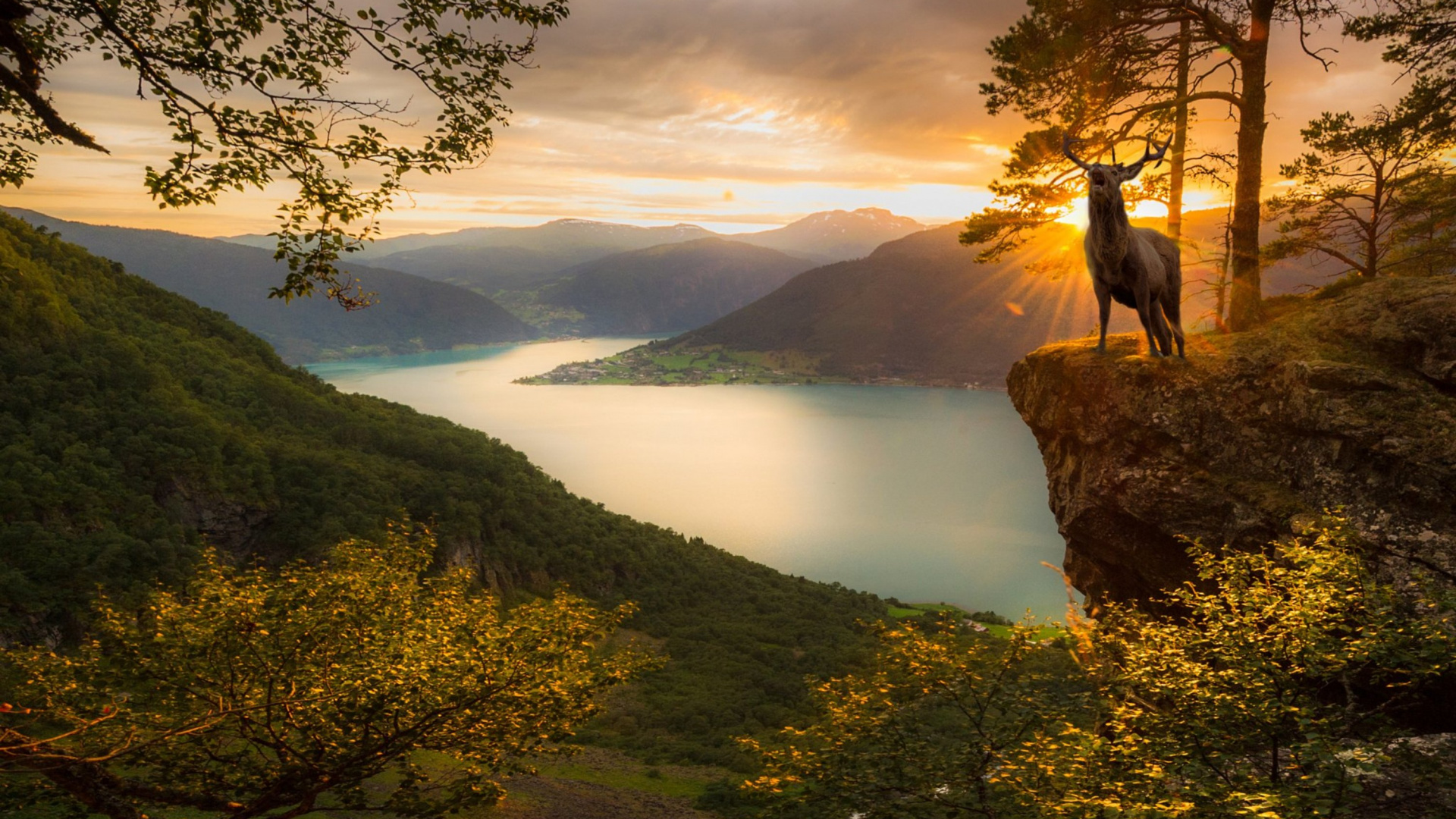 Обои природа, отражение, дикая местность, утро, дерево в разрешении 1920x1080