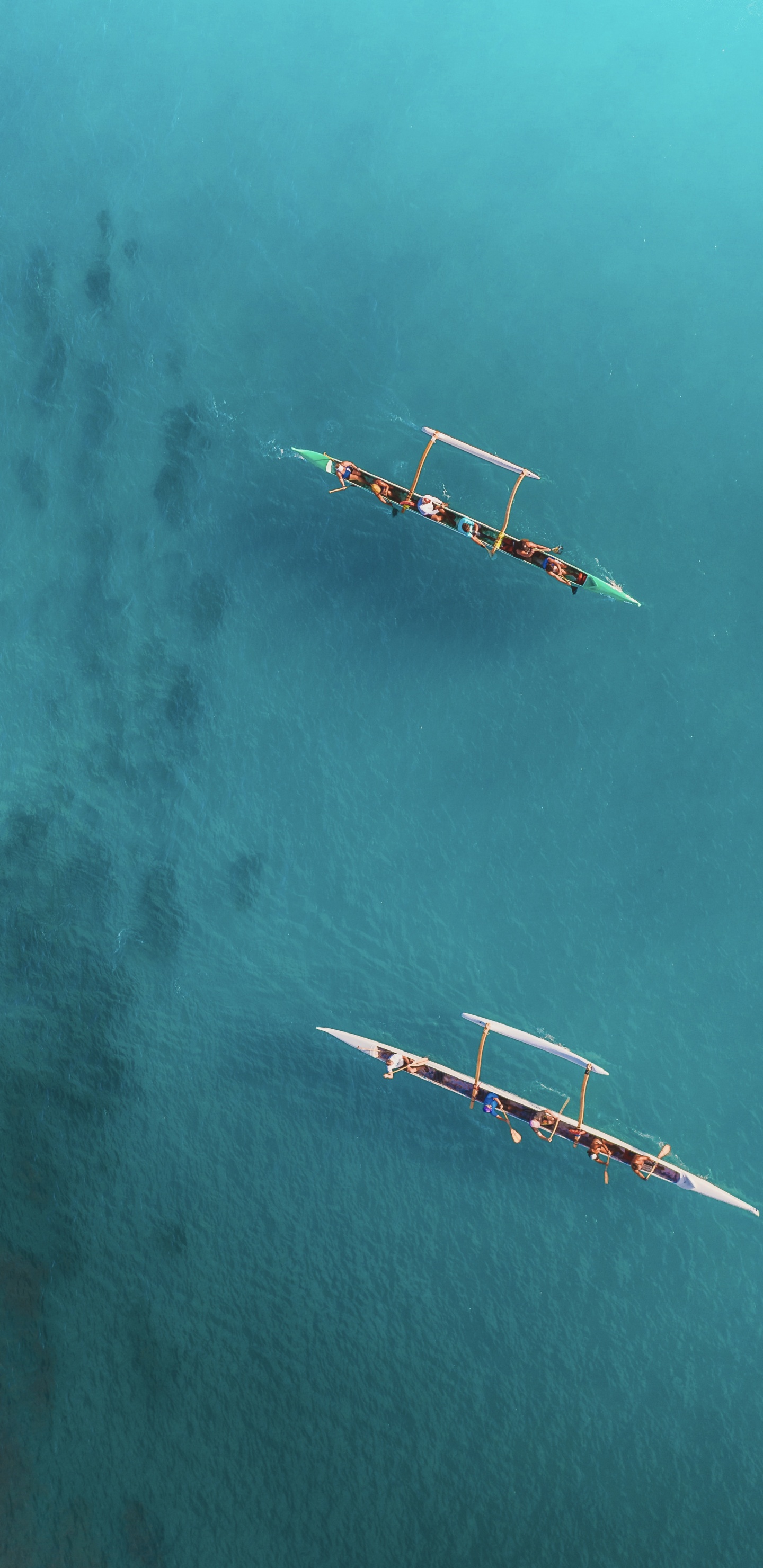 Обои самолет, полет, земля, вода, атмосфера земли в разрешении 1440x2960