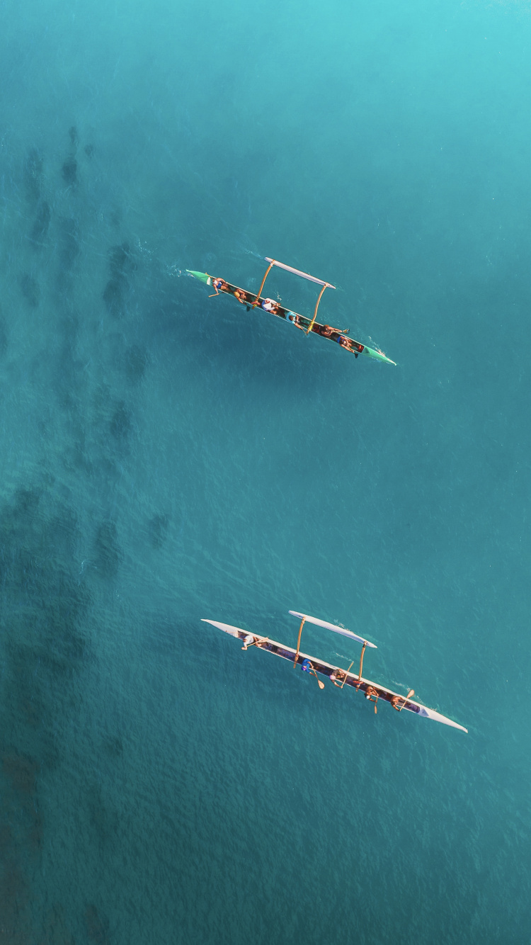 Обои самолет, полет, земля, вода, атмосфера земли в разрешении 750x1334