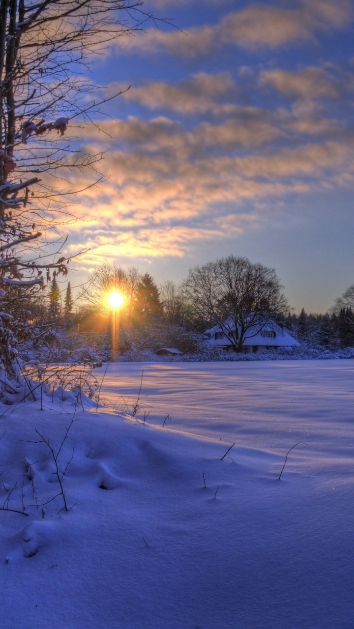 Обои закат, снег, природа, зима, замораживание в разрешении 720x1280