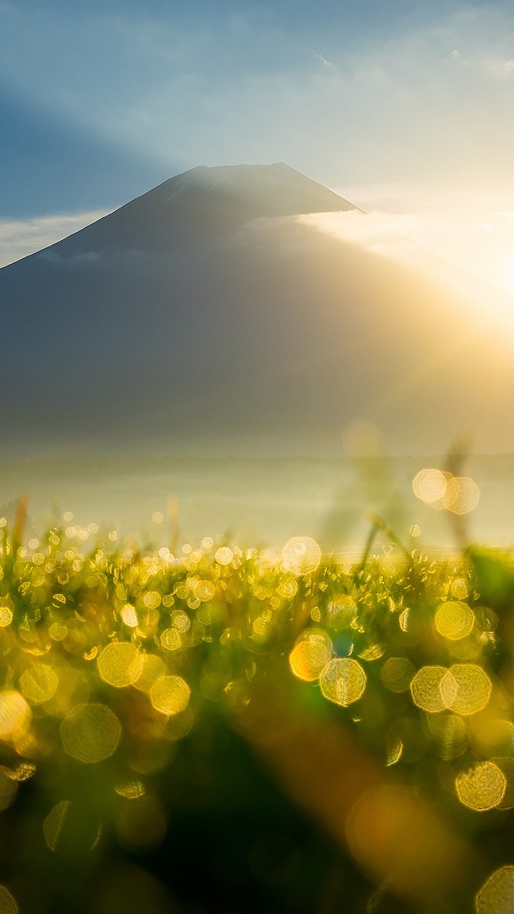 Обои солнечный свет, утро, свет, луг, поле в разрешении 720x1280