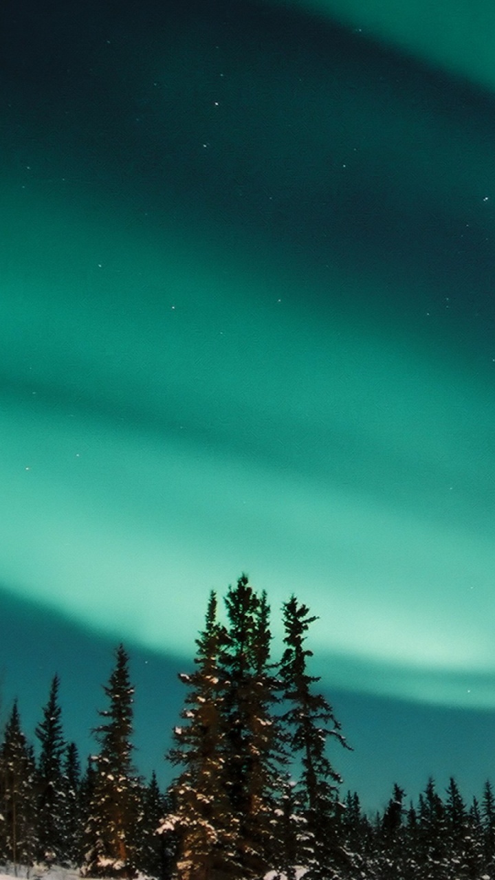 Обои Аврора, природа, атмосфера, Национальный Парк Абиско, Амстердам северное сияние в разрешении 720x1280