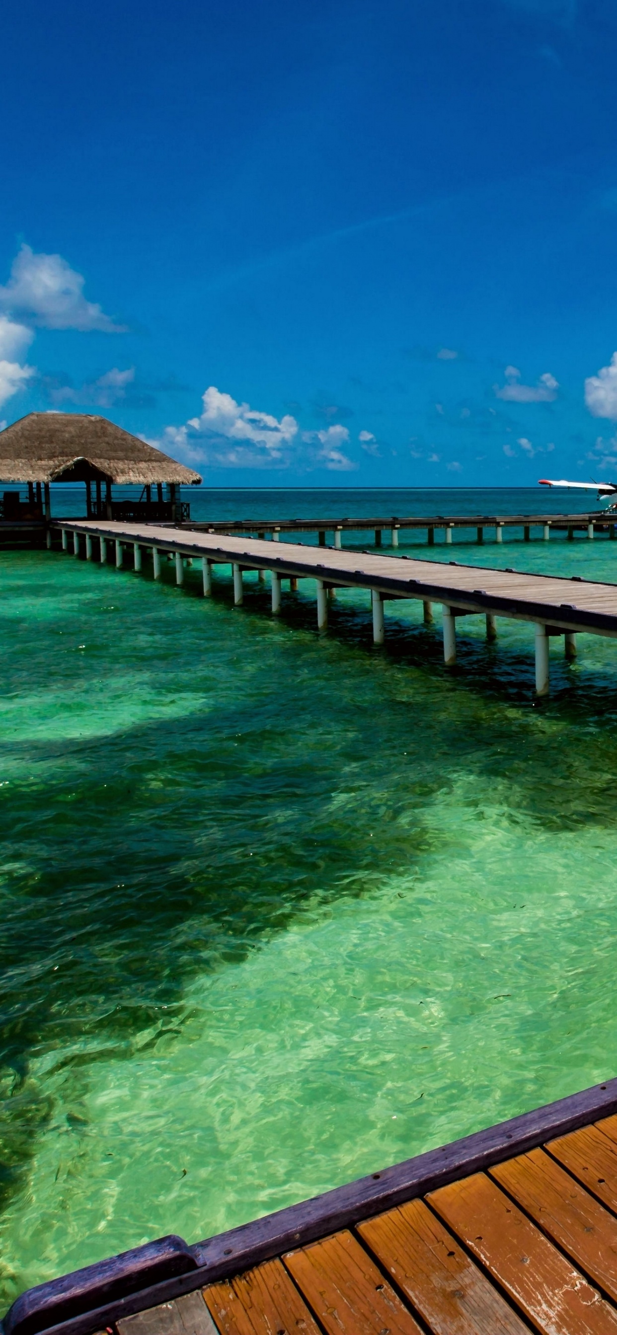 Обои море, природа, Пирс, природный ландшафт, синий в разрешении 1242x2688