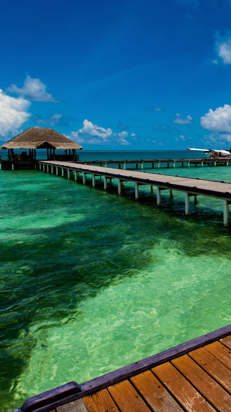 Обои море, природа, Пирс, природный ландшафт, синий в разрешении 750x1334