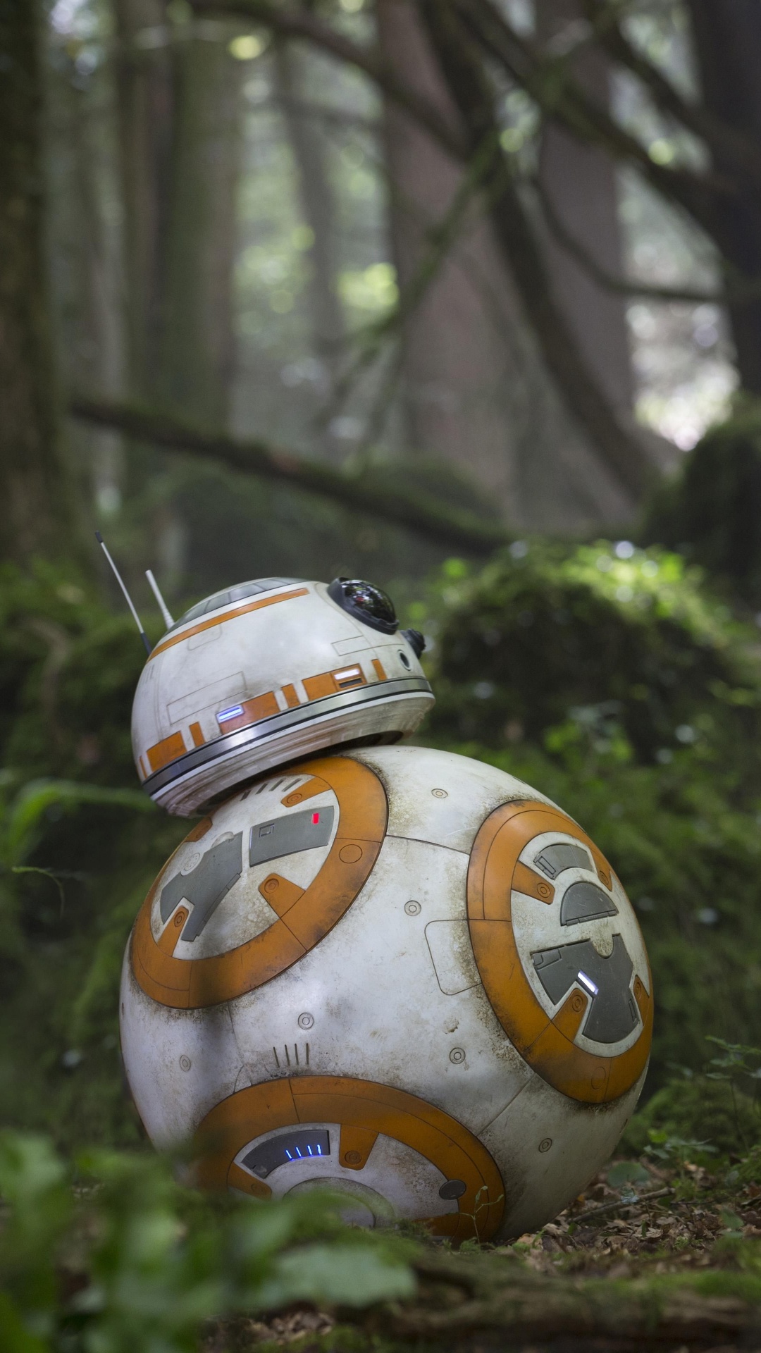 Обои ББ-8, Звездные войны пробуждение силы, звездные войны, лес, дерево в разрешении 1080x1920