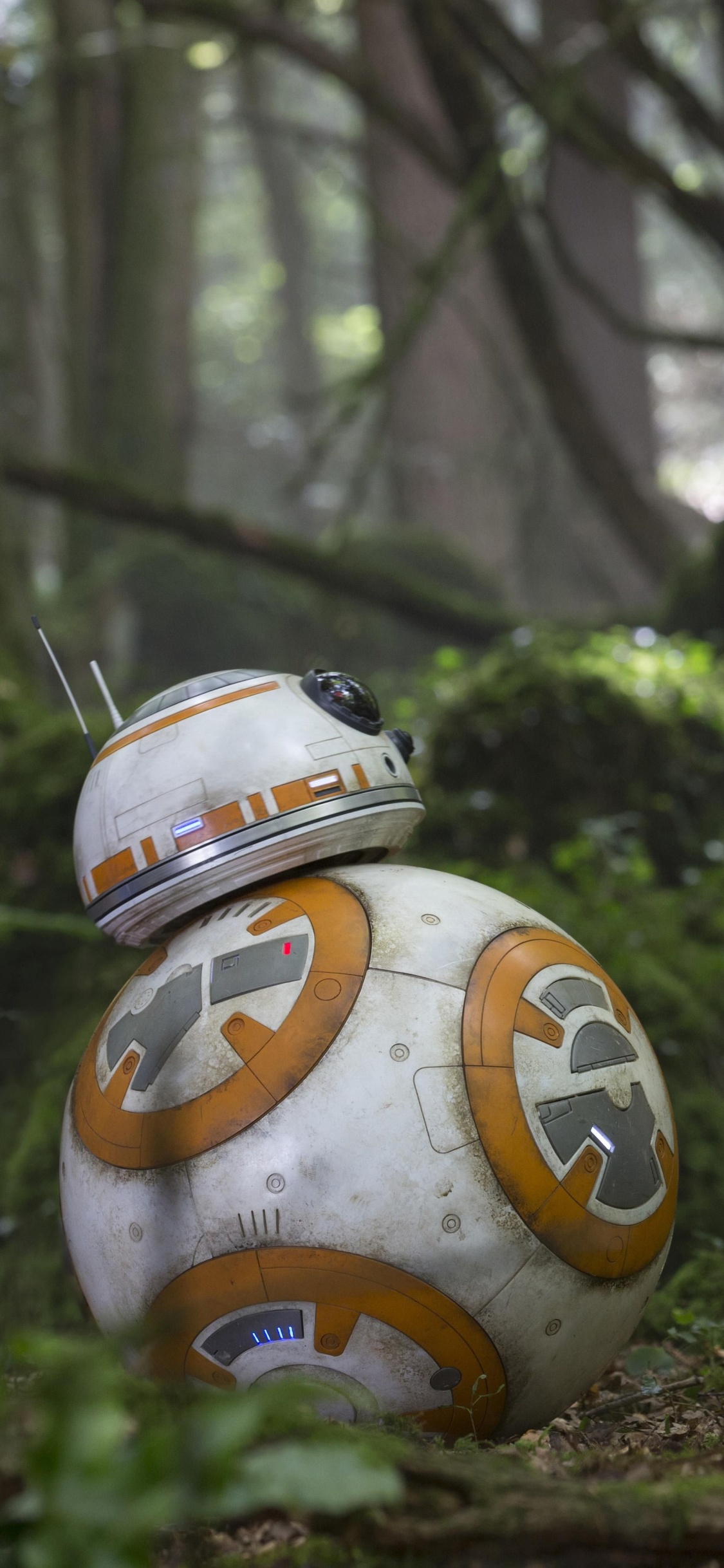 Обои ББ-8, Звездные войны пробуждение силы, звездные войны, лес, дерево в разрешении 1125x2436