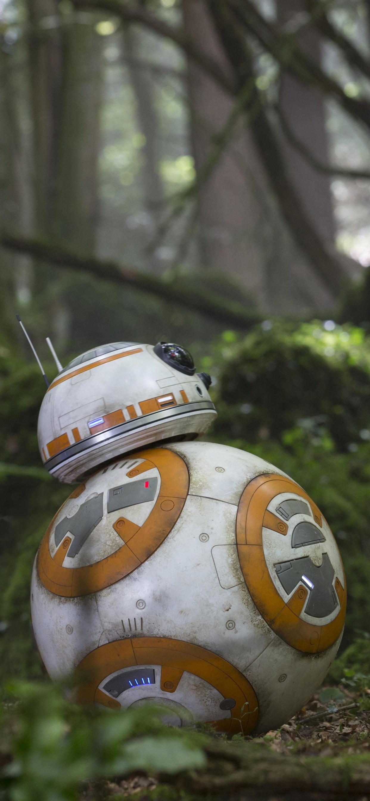Обои ББ-8, Звездные войны пробуждение силы, звездные войны, лес, дерево в разрешении 1242x2688