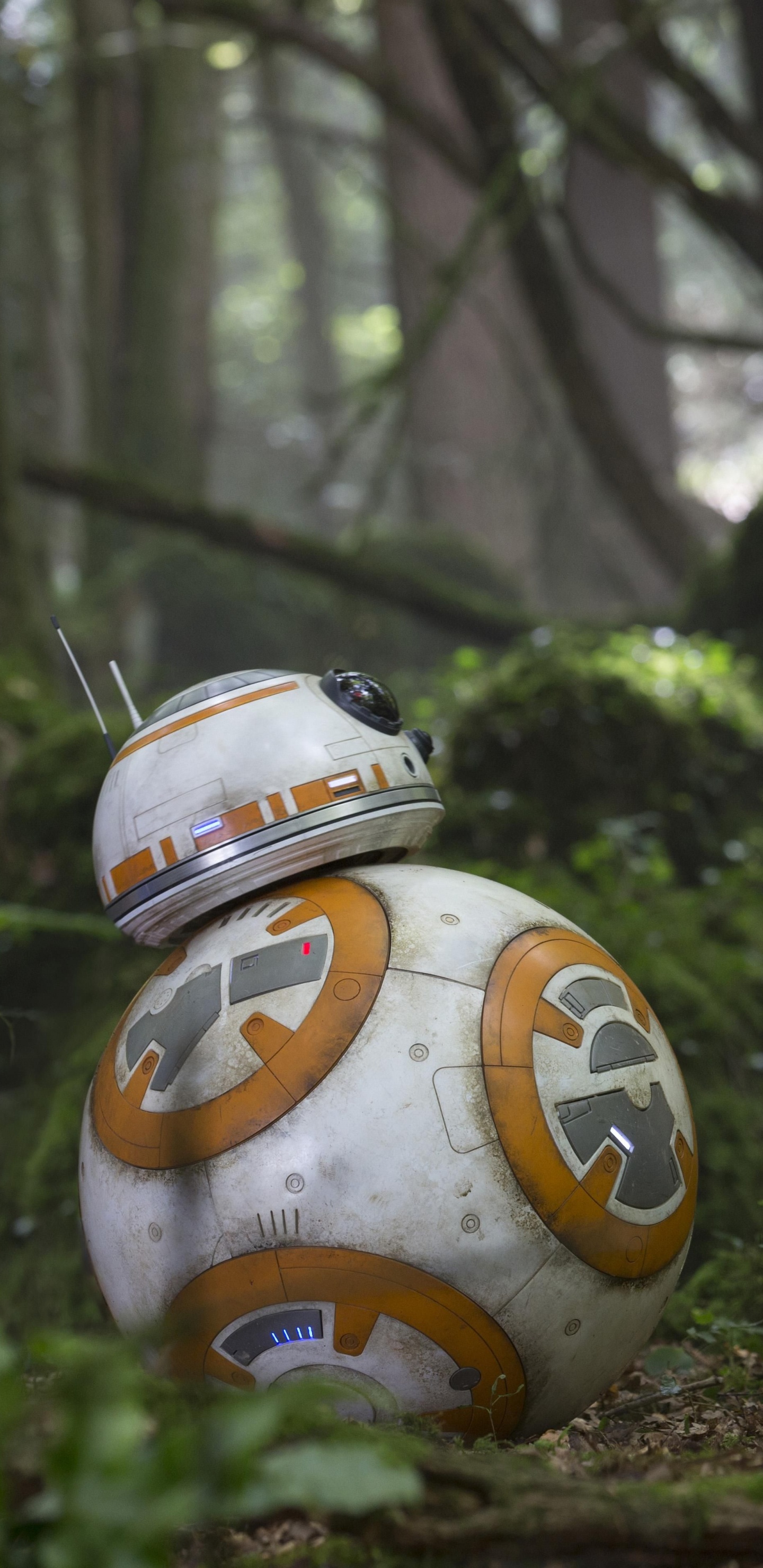 Обои ББ-8, Звездные войны пробуждение силы, звездные войны, лес, дерево в разрешении 1440x2960