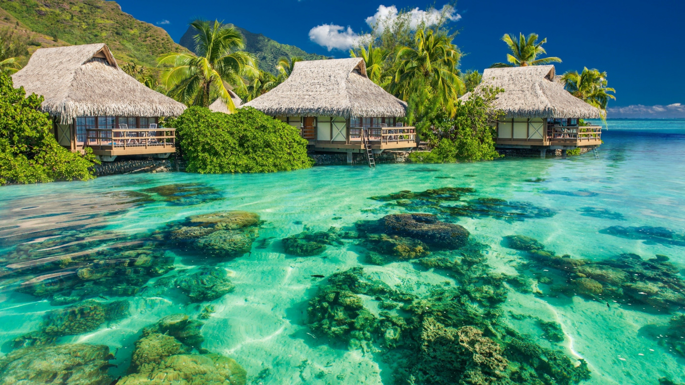 Обои Лагуна, море, коралловый риф, природа, природный ландшафт в разрешении 1366x768