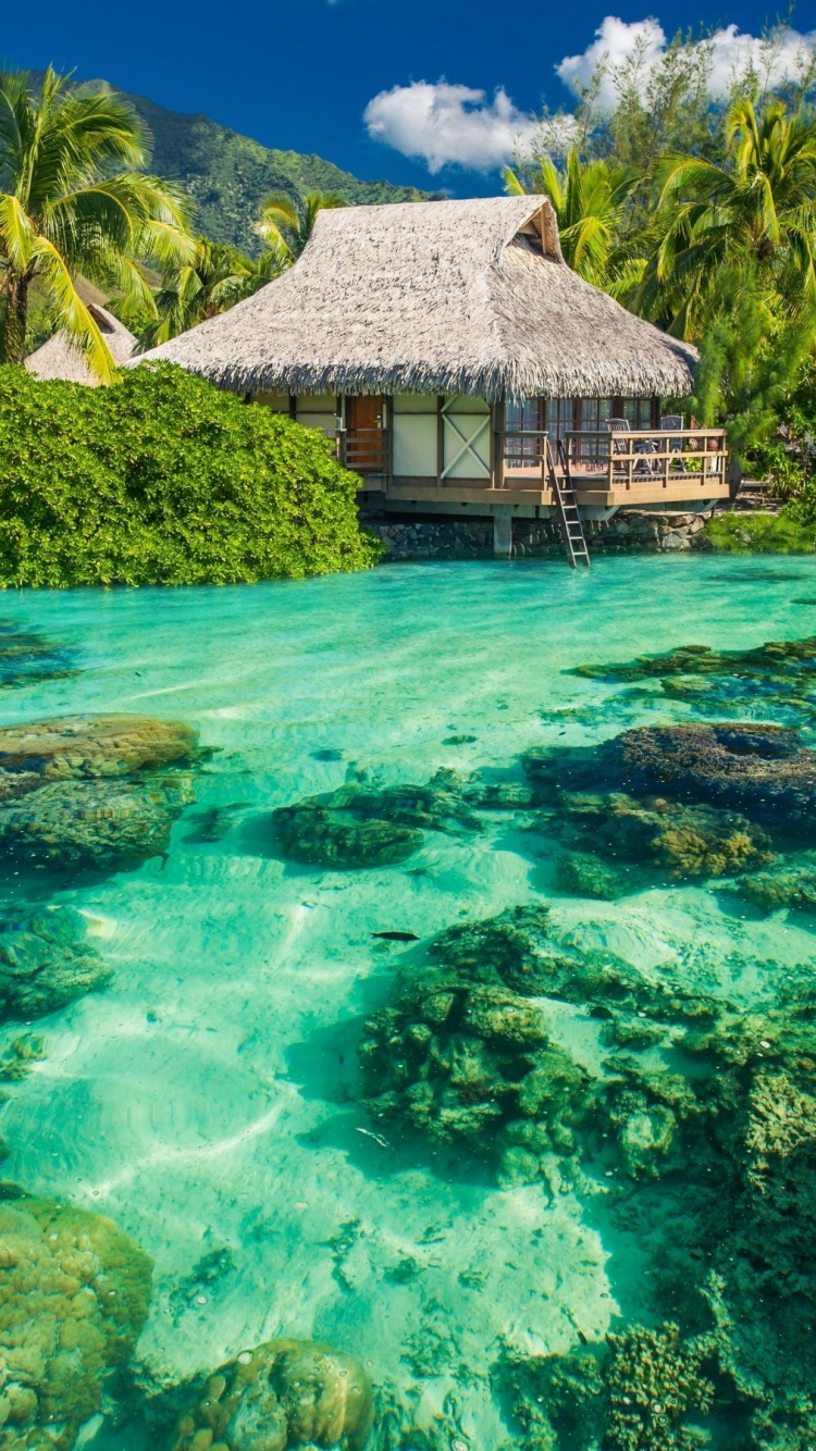 Обои Лагуна, море, коралловый риф, природа, природный ландшафт в разрешении 750x1334