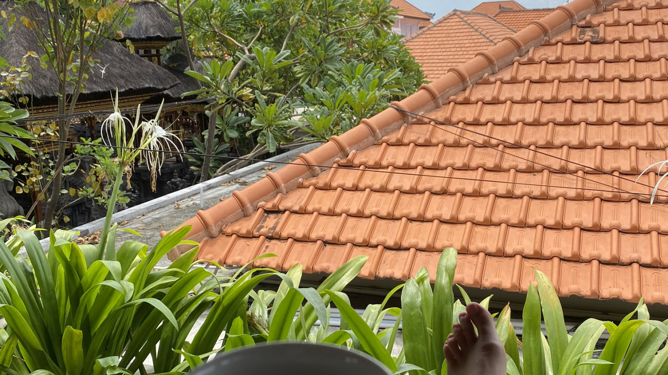 Обои крыша, пальмовые рощи, очки, чашка, природа в разрешении 1366x768