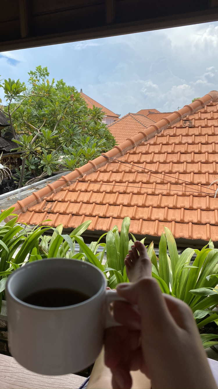 Обои крыша, пальмовые рощи, очки, чашка, природа в разрешении 750x1334