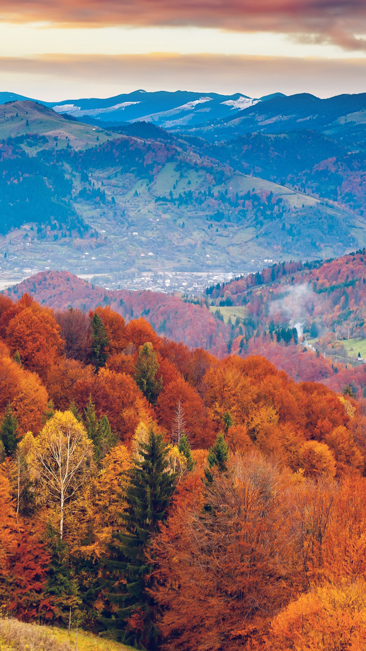 Обои яблоко, макбук Эйр, Apple МасВоок Pro, осень, растение в разрешении 750x1334