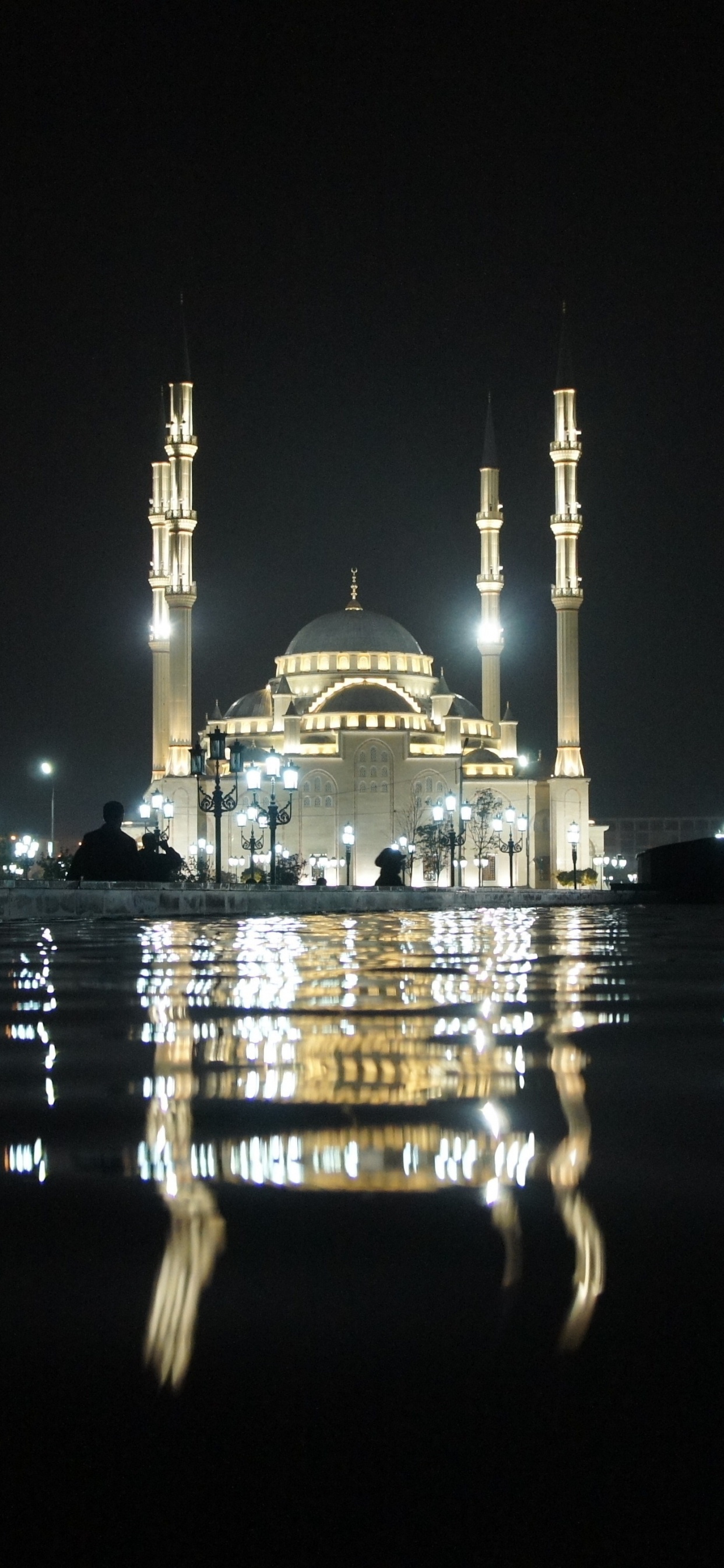 Обои Тадж-Махал, ночь, город, ориентир, свет в разрешении 1242x2688