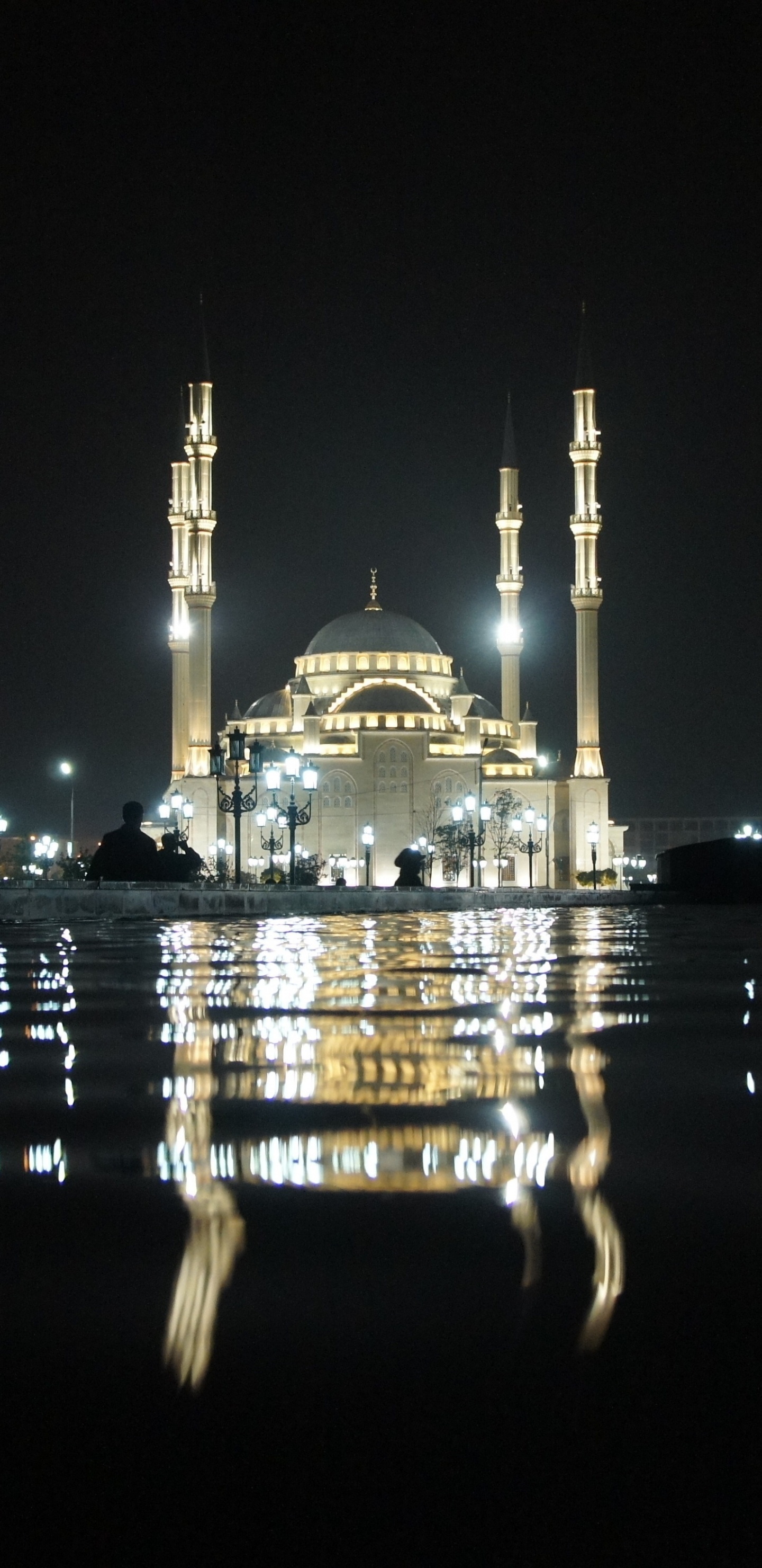 Обои Тадж-Махал, ночь, город, ориентир, свет в разрешении 1440x2960