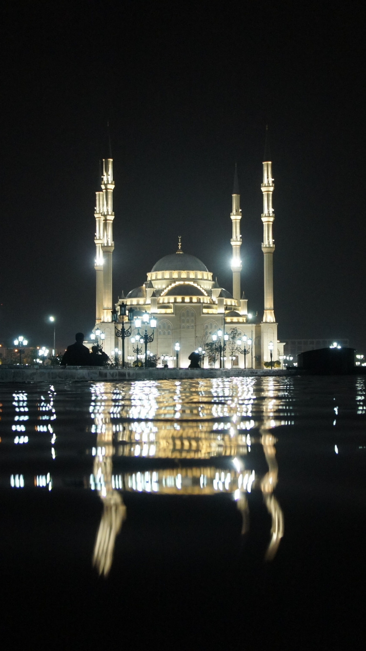 Обои Тадж-Махал, ночь, город, ориентир, свет в разрешении 750x1334