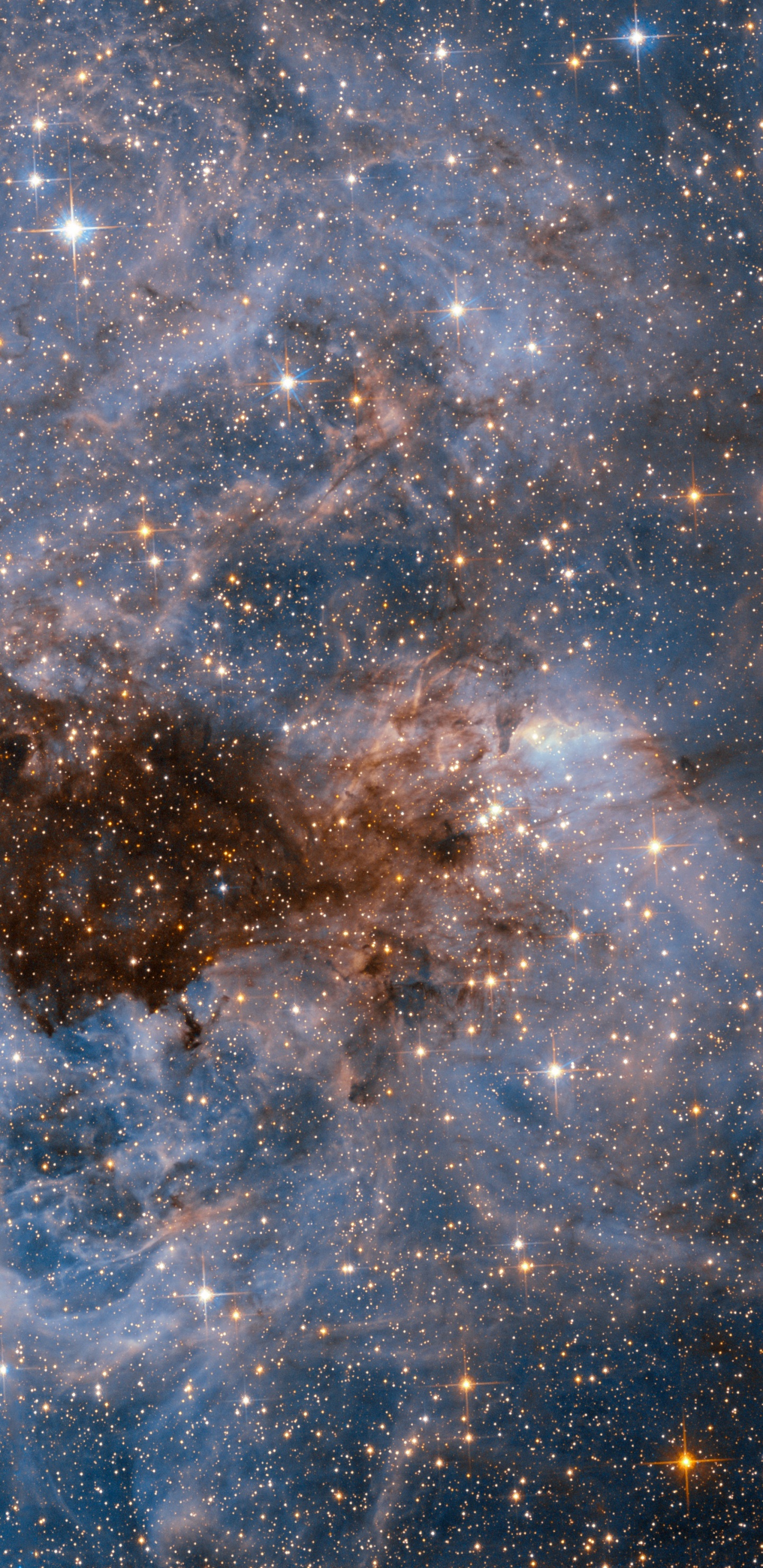 Обои Млечный Путь, Галактика, большое Магелланово облако, звезда, Астрономия в разрешении 1440x2960