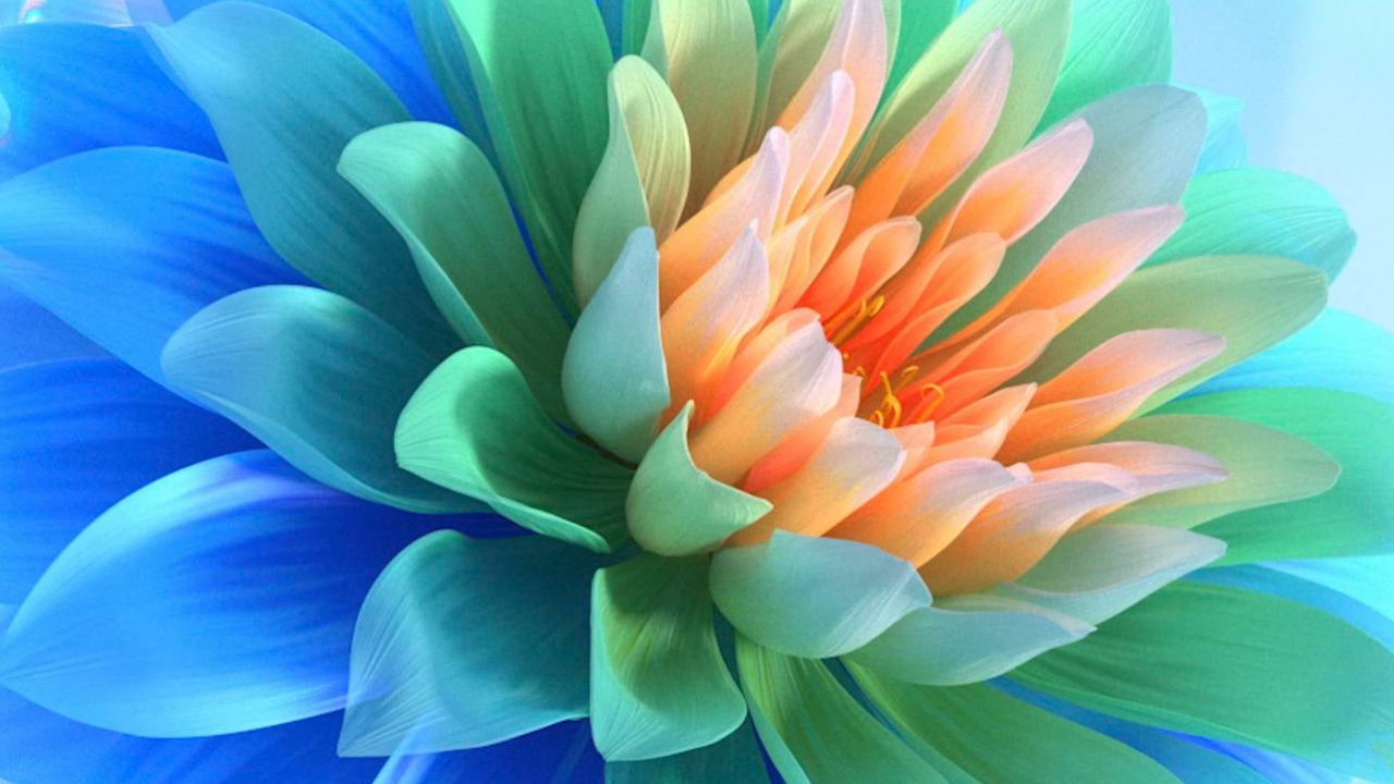 Обои лепесток, цветок, растение, искусство, электрик в разрешении 1280x720