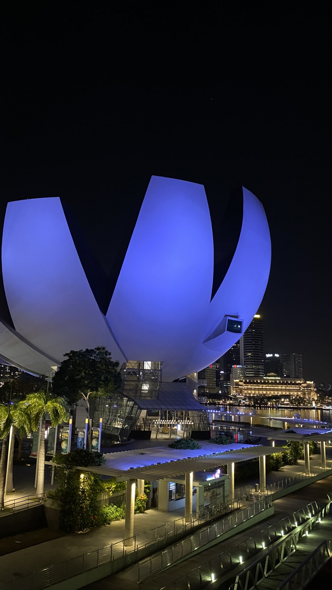 Обои Сингапур, отражение, ночь, метрополия, электричество в разрешении 1080x1920