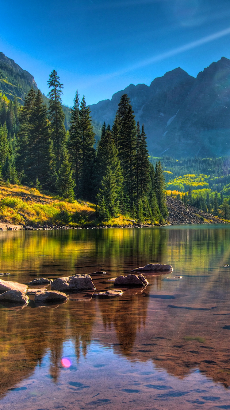 Обои осина, природа, отражение, вода, гора в разрешении 750x1334