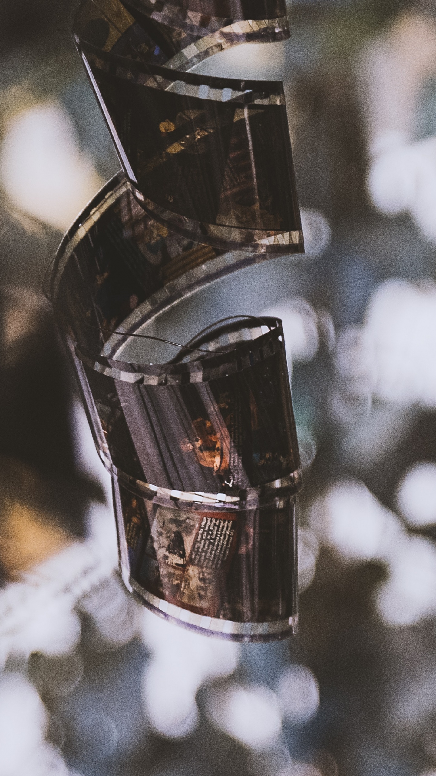 Обои дерево, стекло, кинорежиссер, кинопроизводство, бутылка в разрешении 1440x2560