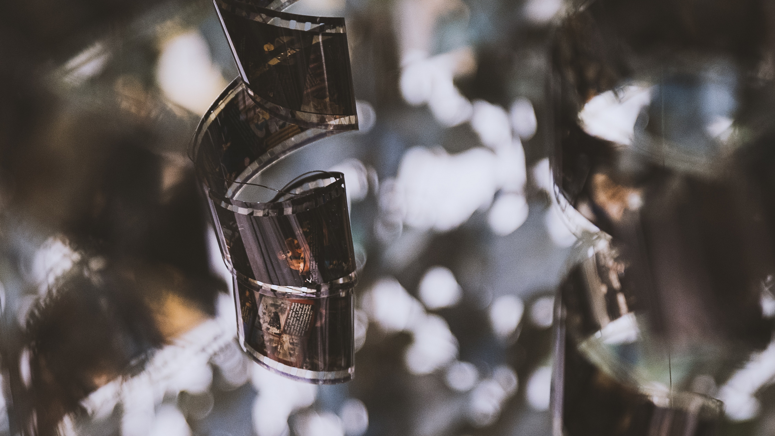 Обои дерево, стекло, кинорежиссер, кинопроизводство, бутылка в разрешении 2560x1440