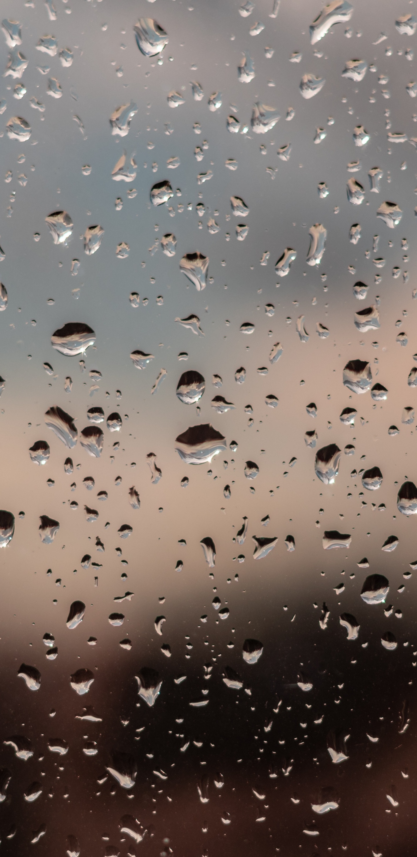 Обои дождь, вода, мелкий дождь, падение, осаждение в разрешении 1440x2960