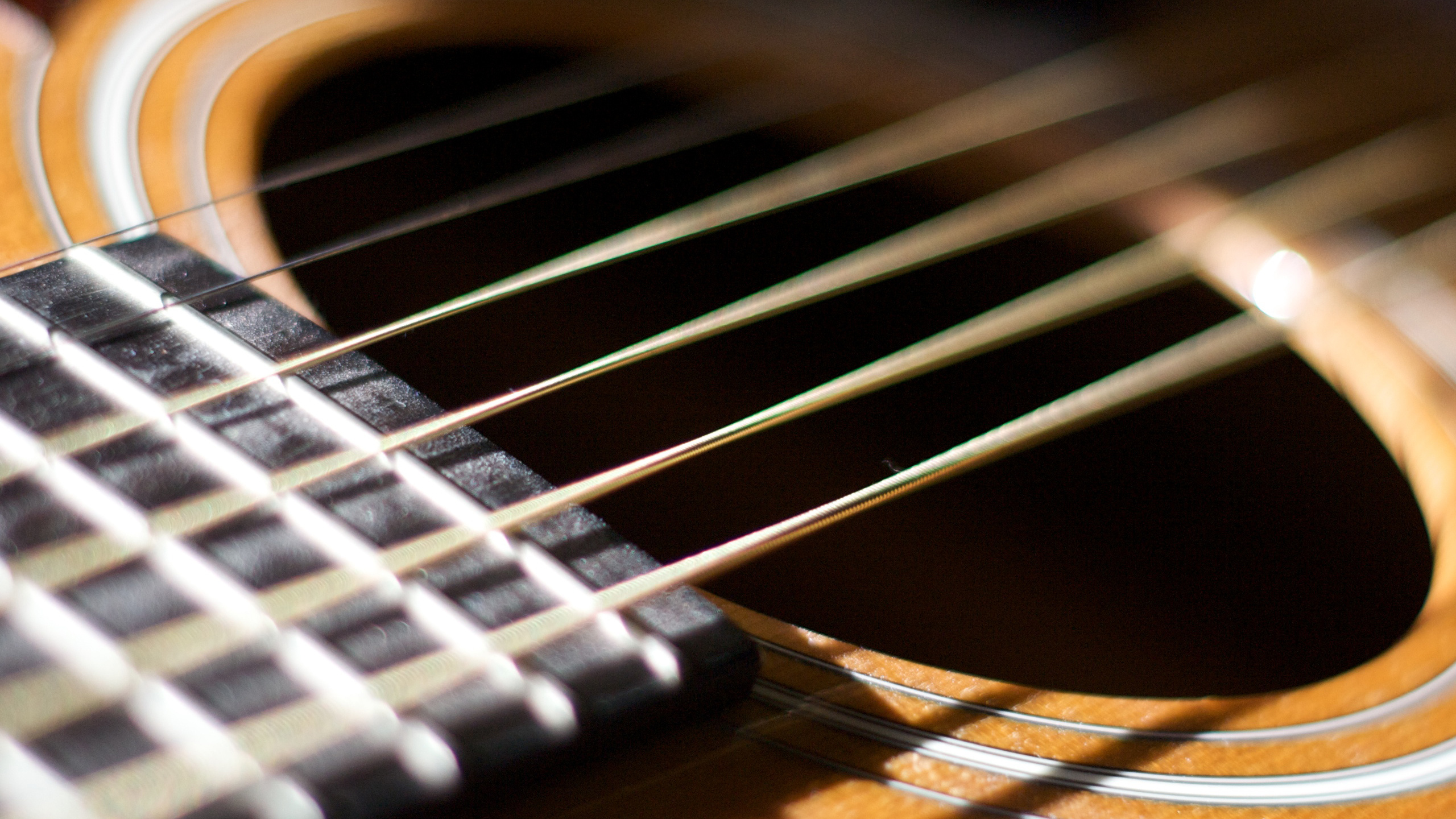 Обои акустическая гитара, гитара, басгитара, taylor guitars, струнный инструмент в разрешении 2560x1440