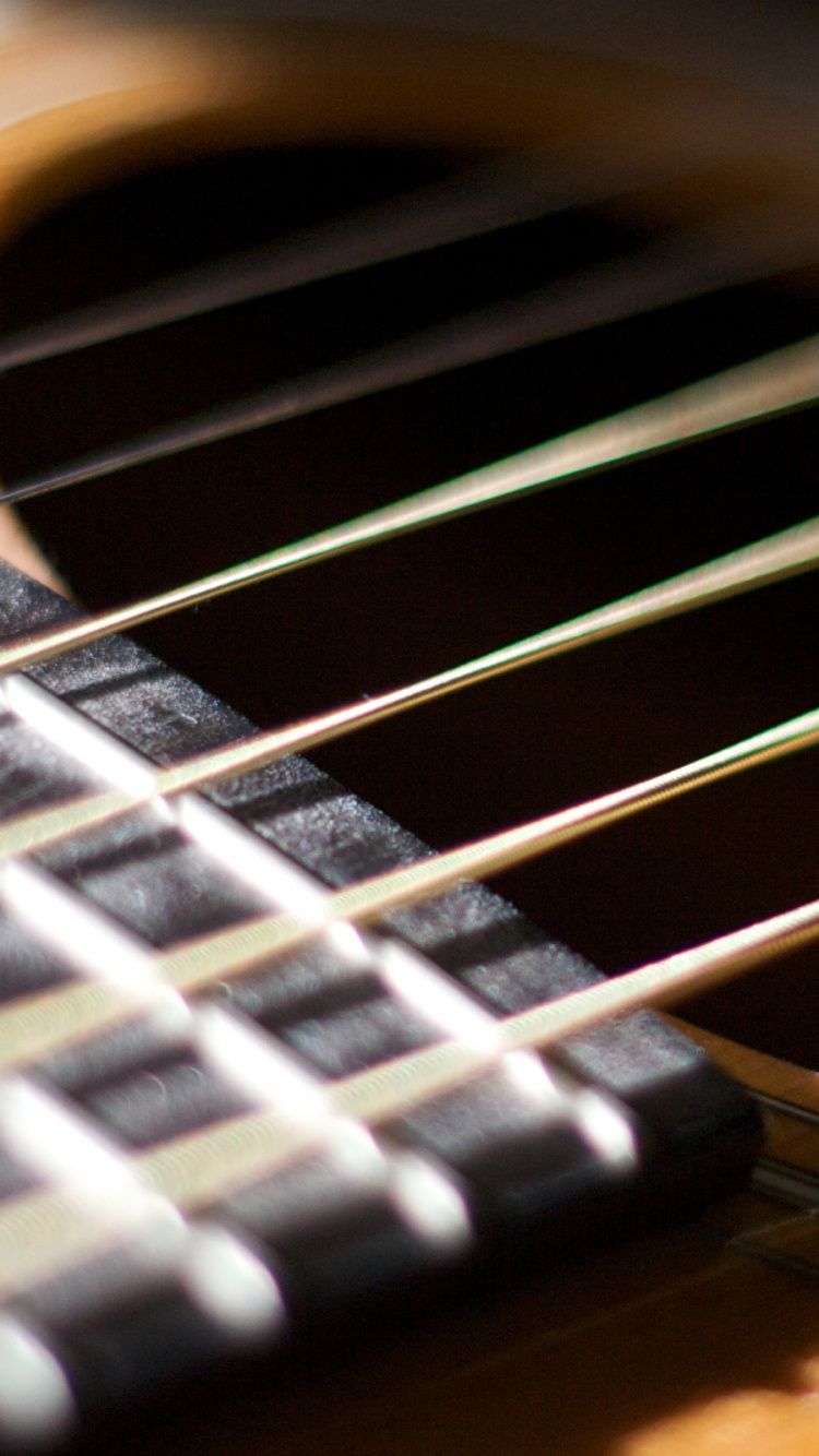 Обои акустическая гитара, гитара, басгитара, taylor guitars, струнный инструмент в разрешении 750x1334