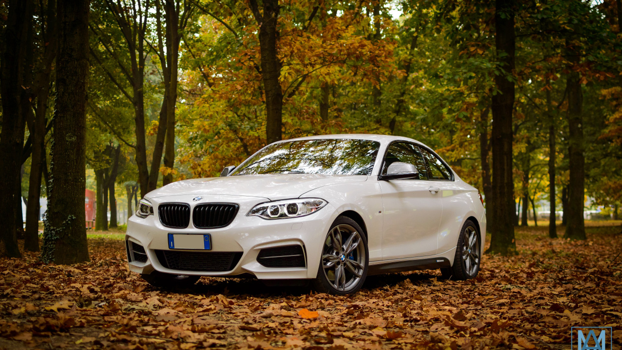 Обои bmw, Байерише Моторен Верке АГ, легковые автомобили, БМВ М1, bmw 3 серии в разрешении 1280x720