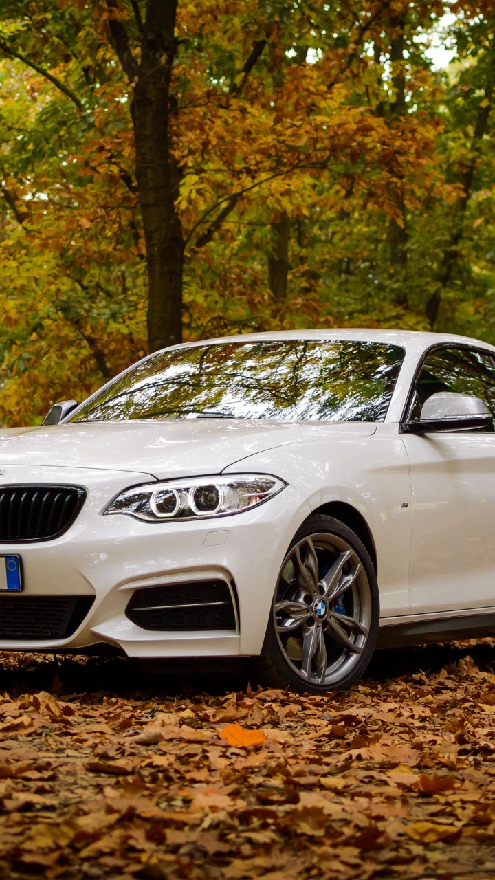 Обои bmw, Байерише Моторен Верке АГ, легковые автомобили, БМВ М1, bmw 3 серии в разрешении 720x1280