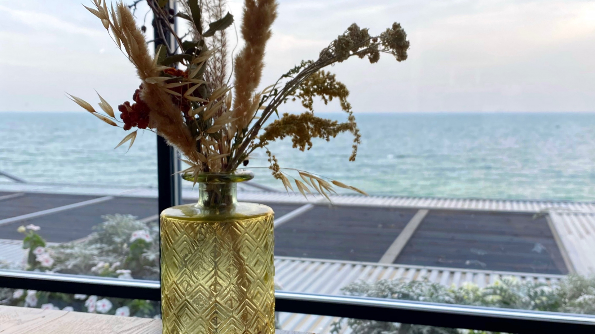 Обои ветвь, древесина, прут, океан, домашние аксессуары в разрешении 1920x1080