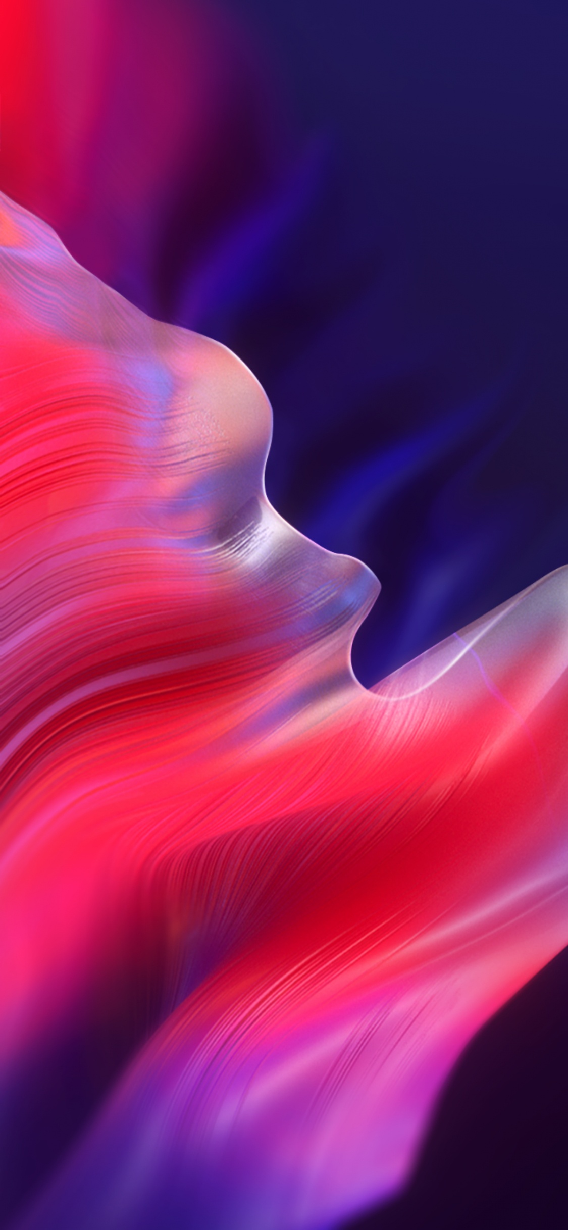 Обои свет, пурпур, розовый, пурпурный цвет, лепесток в разрешении 1125x2436