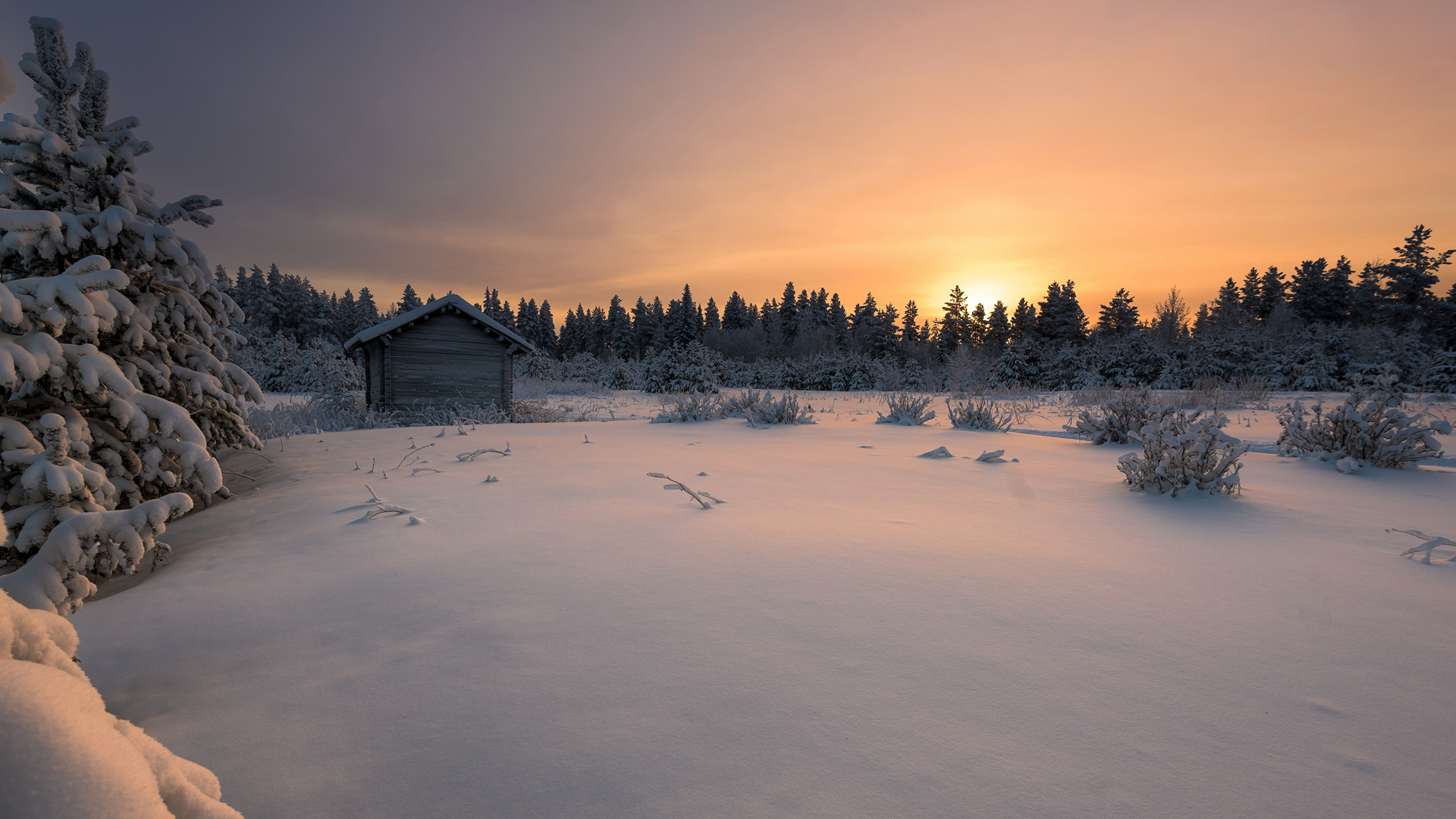 Обои Финляндия, закат, снег, зима, природа в разрешении 2560x1440