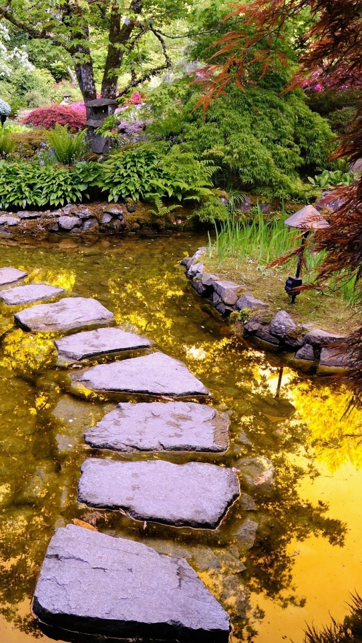 Обои сад, природа, вода, водоток, растительность в разрешении 720x1280