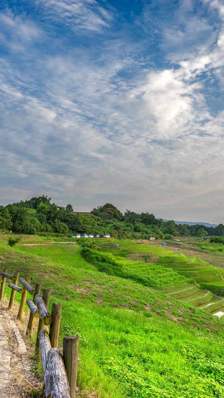 Обои Япония, природа, нагорье, сенокосное угодье, поле в разрешении 750x1334
