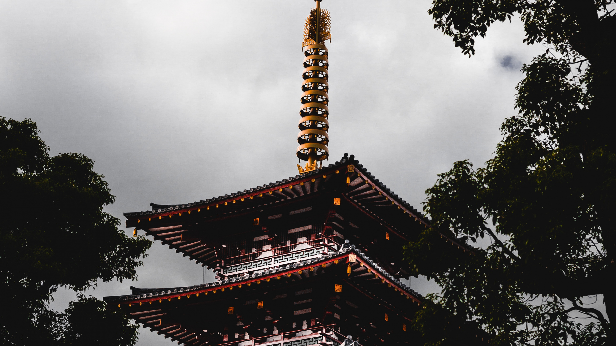 Обои облако, дерево, место поклонения, ориентир, здание в разрешении 2560x1440