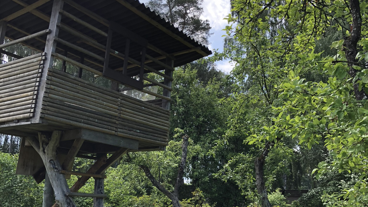 Обои дерево, домик на дереве, сад, сельский район, газон в разрешении 1280x720