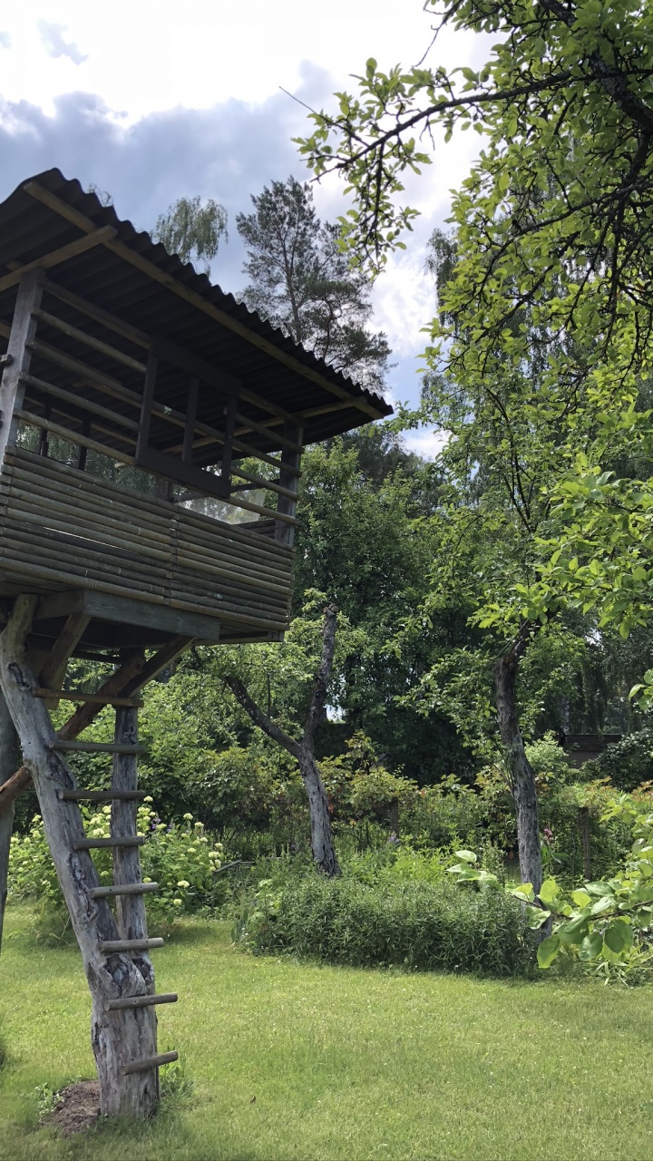 Обои дерево, домик на дереве, сад, сельский район, газон в разрешении 720x1280