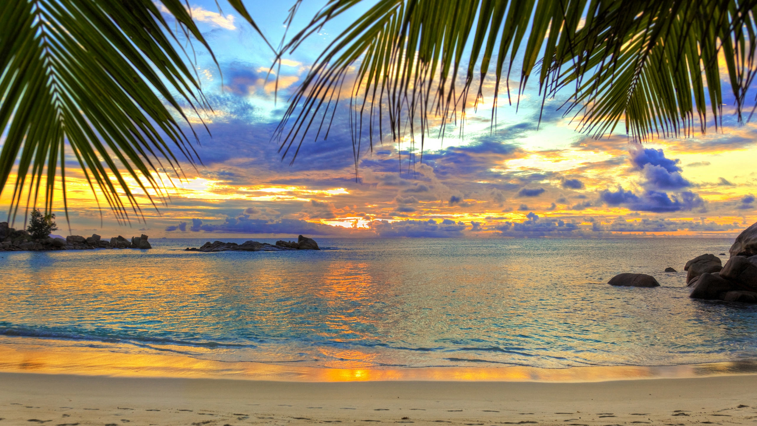 Обои пляж, тропическая зона, закат, горизонт, океан в разрешении 2560x1440